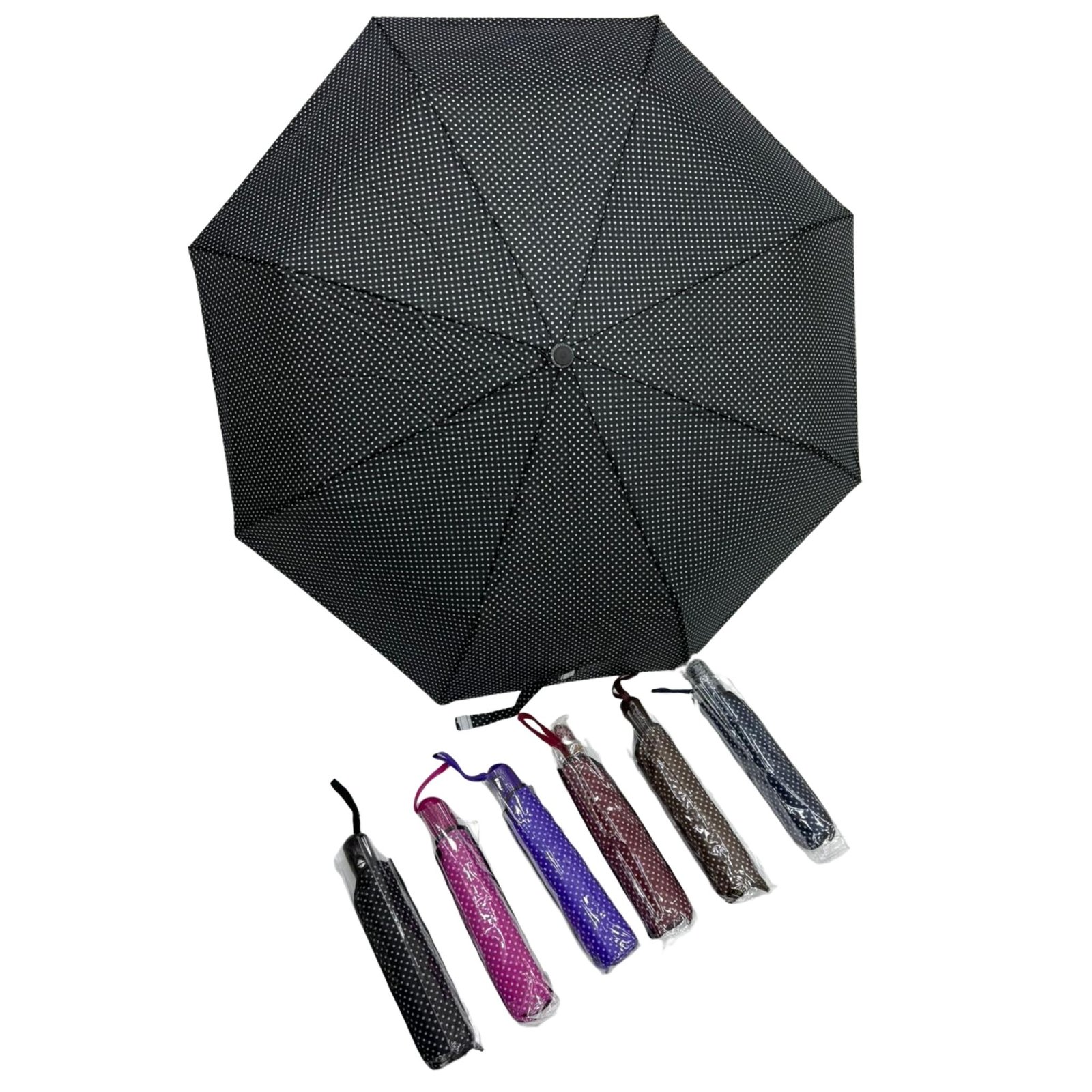 Şemsiye 2 1 Şemsiye 2